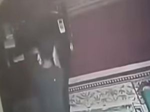 Maling Kotak Amal Sambil Main HP Terekam CCTV di Depok, Polisi Selidiki