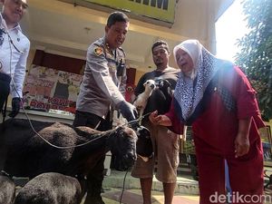 Ibu di Sukabumi Ini Malah Untung saat 2 Dombanya Dicuri, Kok Bisa?