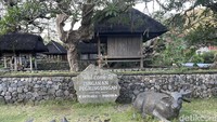 Warga yang berpoligami akan masuk sebagai krama gumi pulangan. Sebagai krama gumi pulangan, masyarakat yang berpoligami tidak memiliki kesempatan untuk menduduki posisi legislatif desa dan menjadi pimpinan desa adat. Selain itu, sebagai krama gumi pulangan memiliki hak yang lebih rendah dibandingkan krama Desa Adat Tenganan.  