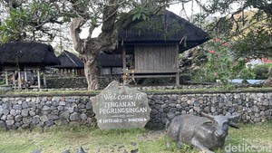 Desa Kuno Tenganan Pegringsingan