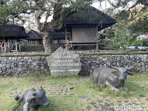 Tradisi Anti-Poligami di Desa Tenganan Bali