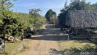 Tak hanya menjadi destinasi wisata yang sip, Desa Tenganan tetap menjaga aturan yang telah diwariskan oleh leluhur melalui awig-awig. Salah satu awig-awig yang masih dilaksanakan hingga sekarang adalah masyarakat Desa Tenganan tidak boleh melakukan poligami.  
