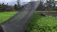Keberadaan sejumlah tambang nikel di daerah tersebut turut membawa dampak peningkatan ekonomi bagi petani. Permintaan bahan makanan terutama dari pekerja perusahaan tambang meningkat.  