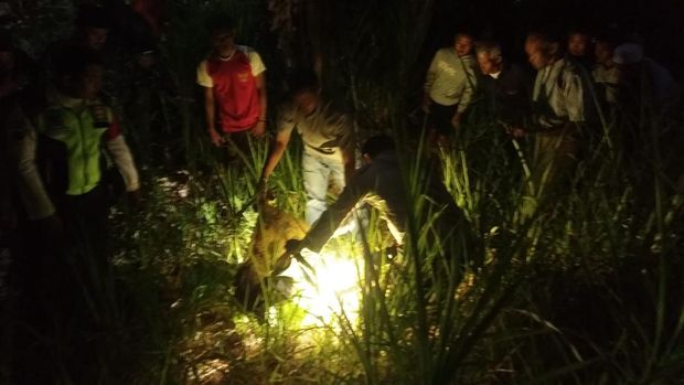 Seorang balita yang belum bisa berjalan di Kediri tertabrak KA saat bermain di dekat rumah padahal bapaknya sedang di rumah.
