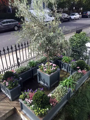 Taman rumah/The London Gardener via Gardeningetc