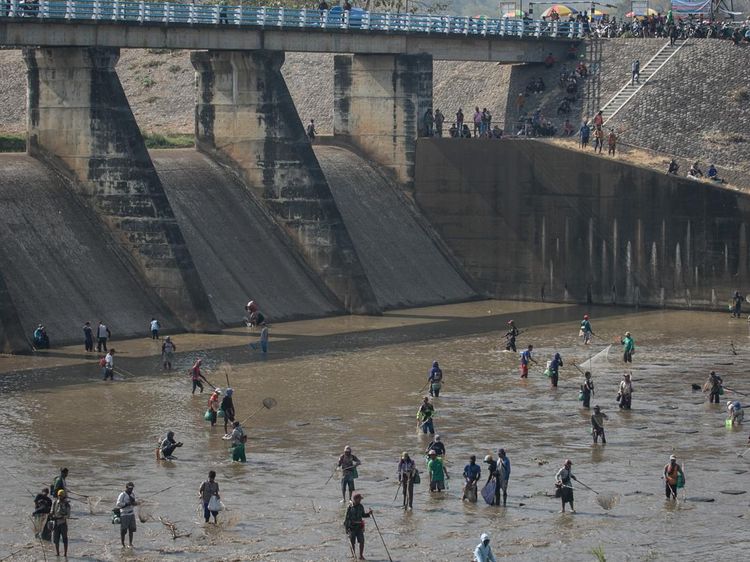 Warga Ramai-ramai Cari Ikan di Bendungan Colo yang Menyusut