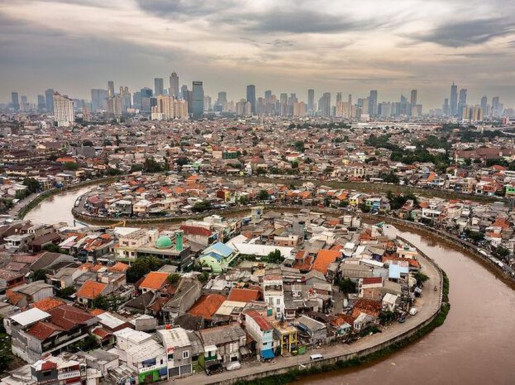 Karya Jawara Kontes Foto Satwa Liar 2023, Ada Sungai Ciliwung