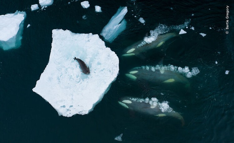 Wildlife Photographer of the Year 2023