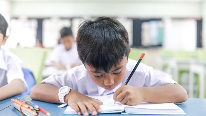 30 Soal AKMI Kelas 5 SD/MI Beserta Jawabannya untuk Latihan Belajar