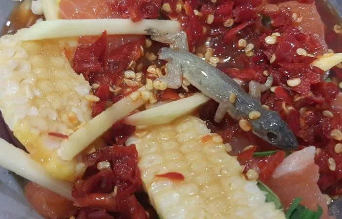 Jijik! Ada Cicak Buntung Dalam Salad Thailand Pelanggan Ini