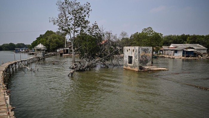 Seorang warga bermain layangan di halaman rumahnya di kawasan Pulau Cangkir, Kronjo, Kabupaten Tangerang, Selasa (17/10/2023). Bappenas mengungkapkan perubahan iklim yang mengakibatkan kenaikan permukaan air laut antara 0,8 hingga 1,2 cm per tahun yang terus terjadi di wilayah Indonesia akan mengancam lingkungan hidup 160 juta jiwa masyarakat pesisir. ANTARA FOTO/Sulthony Hasanuddin/sgd/tom.