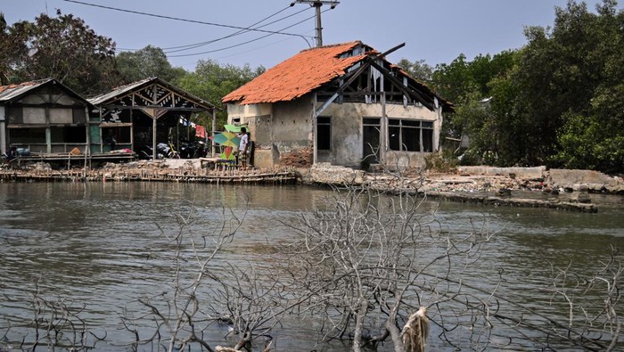 Seorang warga bermain layangan di halaman rumahnya di kawasan Pulau Cangkir, Kronjo, Kabupaten Tangerang, Selasa (17/10/2023). Bappenas mengungkapkan perubahan iklim yang mengakibatkan kenaikan permukaan air laut antara 0,8 hingga 1,2 cm per tahun yang terus terjadi di wilayah Indonesia akan mengancam lingkungan hidup 160 juta jiwa masyarakat pesisir. ANTARA FOTO/Sulthony Hasanuddin/sgd/tom.