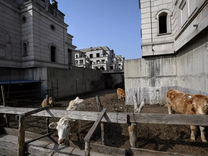 Deretan Rumah Mewah yang Kosong/Jade GAO/AFP Deretan Rumah Mewah yang Kosong/Jade GAO/AFP