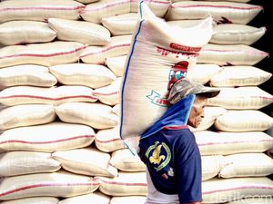 Mentan Amran Ingin Setop Impor Beras dalam 3 Tahun Mendatang