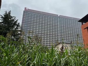 China Punya Hotel  Khusus untuk Babi, Ada 26 Lantai!
