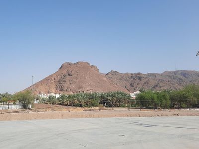 Jabal Uhud Saksi Sejarah Perjuangan Para Syuhada