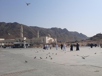 Jabal Uhud: Saksi Bisu Perang Uhud dan Syahidnya Para Syuhada