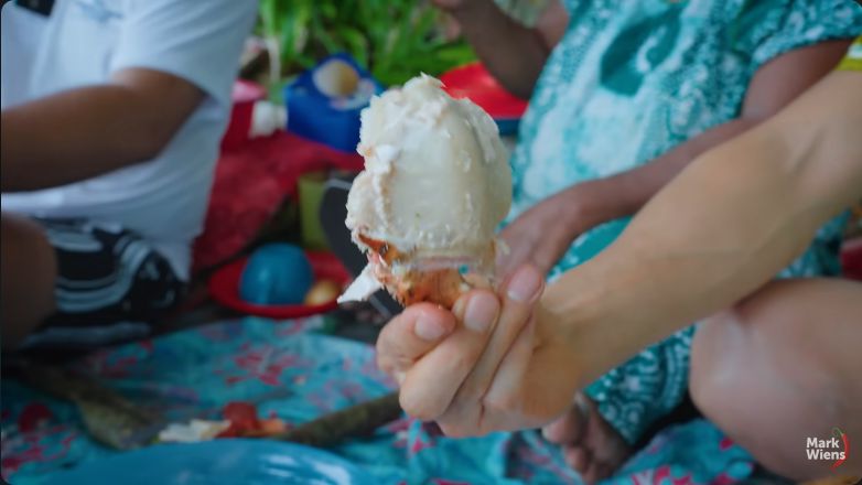 Kepiting kelapa atau kepiting kenari yang ukurannya jumbo