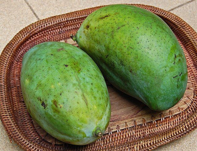 Ilustrasi mangga manalagi.