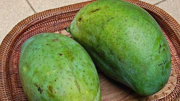 Ilustrasi mangga manalagi.