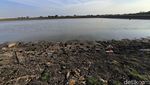 Kemarau Panjang Waduk Bunder Gresik Surut