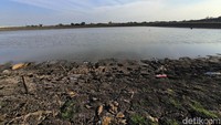 Kondisi waduk Bunder yang saat ini mulai surut dan mengering  tepi waduk.