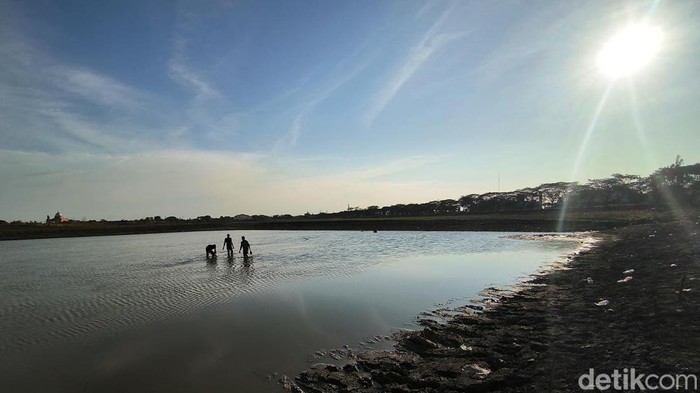 Potret Waduk Bunder Mulai Surut Waduk Bunder Gresik mulai surut dampak kemarau panjang