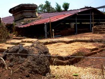 Situs Watu Kucur Jombang Kembali Diekskavasi