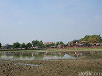 Berkah Pencari Ikan Saat Kolam Raksasa Warisan Majapahit Mengering
