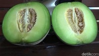 M.Asim mengaku bisa meraup untung hingga Rp 56 juta dari budidaya melon amanda.