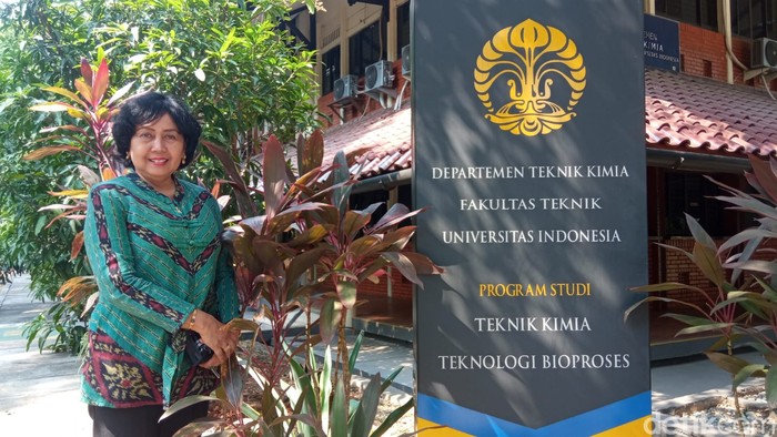 Daun Sambung Nyawa