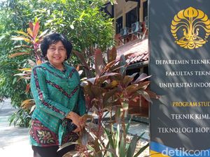 Cerita Guru Besar FTUI Soal Daun Sambung Nyawa, Bisa Sembuhkan Manusia-Anabul