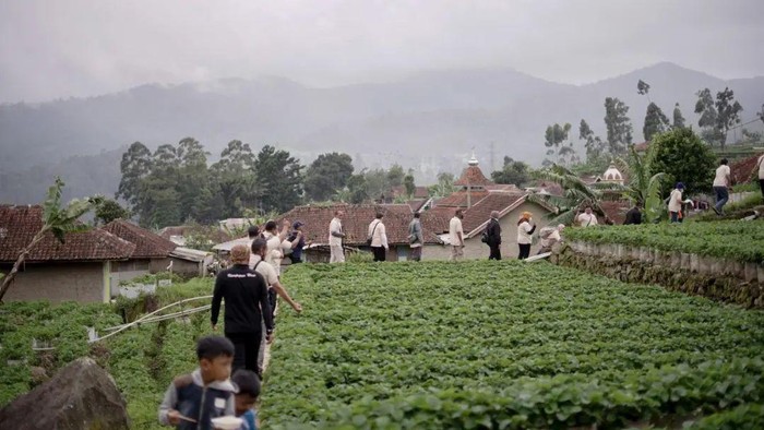 Desa Wisata Alamendah, Ciwidey, Kabupaten Bandung.
