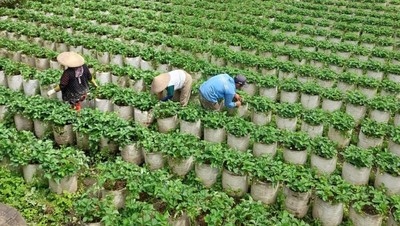 Potret Desa Wisata Alamendah yang Punya Omset Miliaran Rupiah