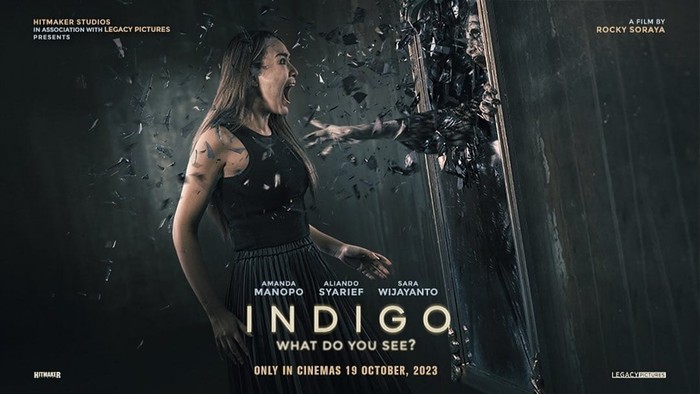 Film Indigo: What Do You See