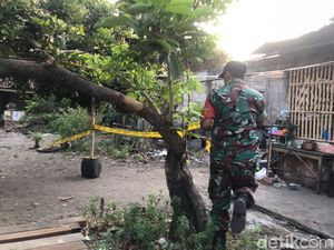 Fakta-fakta Koper Diduga Bom di Rumah Warga Patangpuluhan Jogja