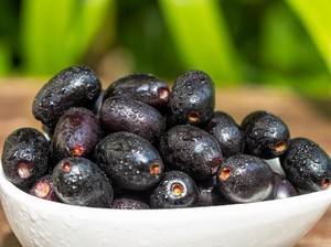 10 Manfaat Buah Jamblang untuk Hidup Lebih Sehat