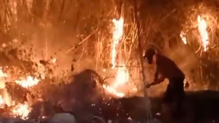 Kebakaran hutan di Sempukerep Sidoharjo Wonogiri.