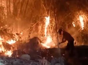 557 Kebakaran di DIY hingga 16 Oktober, BPBD: Paling Banyak Akibat Lalai