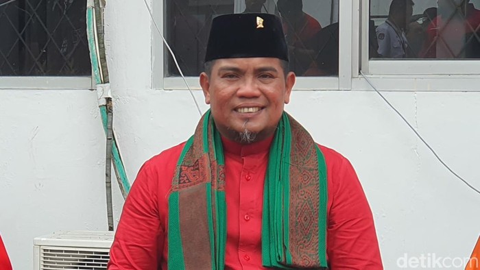 Ketua DPD PDIP Riau Zukri Misran (Raja Adil Siregar/detikSumut)