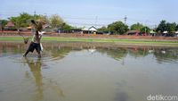 Segaran Kolam Segaran Warisan Majapahit yang Mengering Jadi Berkah Pencari Ikan
