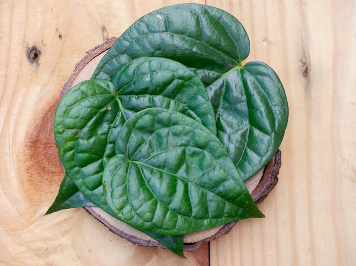 Manfaat duan sirih untuk jerawat