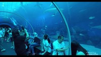 Keindahan Under Water City.