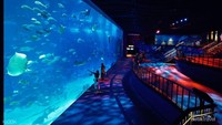 Pesona Open Ocean S.E.A Aquarium.