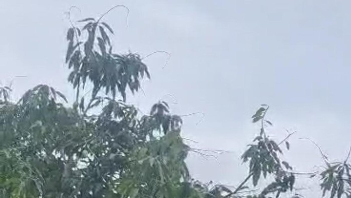 Hujan dengan intensitas ringan mengguyur Kota Parepare, Sulawesi Selatan (Sulsel) pagi tadi.