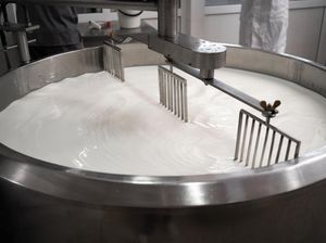 Bagaimana Cara Pasteurisasi? Proses Sterilisasi yang Menekan Kerusakan Protein