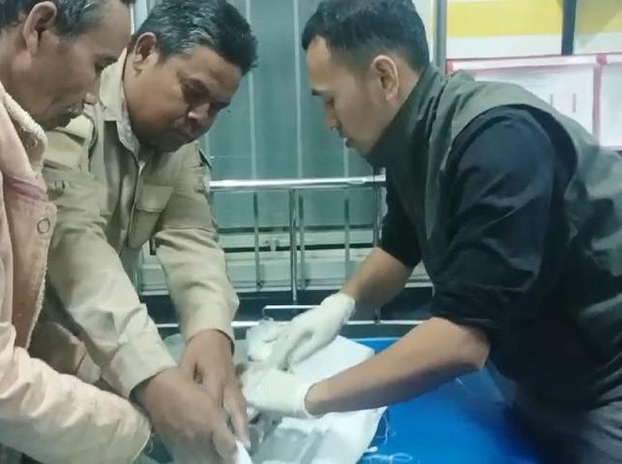 Penemuan bayi di Cianjur.