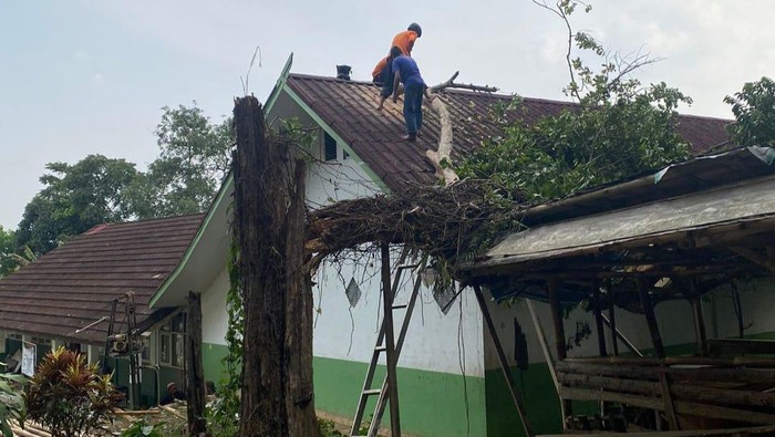 Pohon tumbang timpa atap SD di Bogor