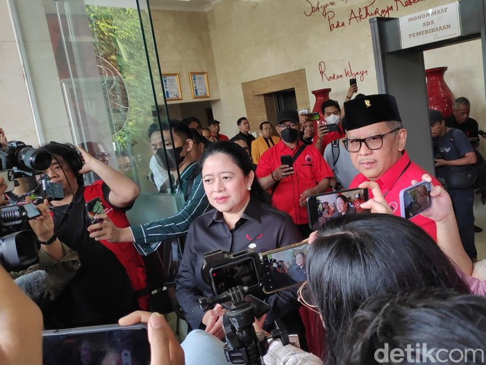 Puan Maharani (Matius Alfons Hutajulu/detikcom)
