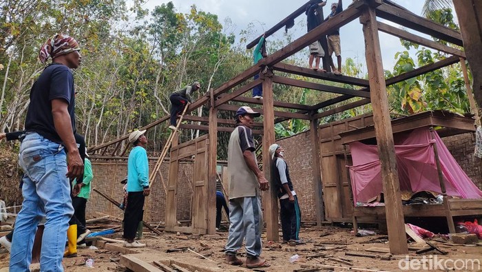 Rumah 2 keluarga di Gunungkidul dibongkar setelah menjadi korban gangguan monyet, Rabu (18/10/2023).